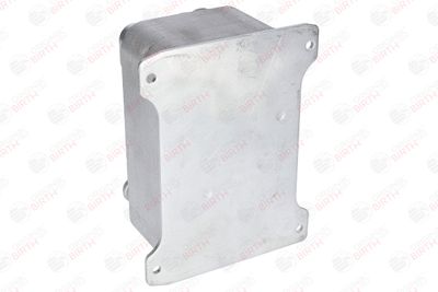 RADIATOR ULEI ULEI MOTOR BIRTH 80285 6