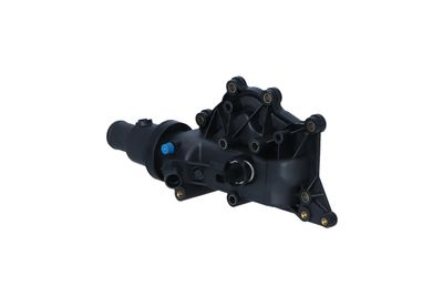 TERMOSTAT LICHID RACIRE NRF 725038 12