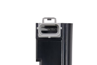 BOBINA DE INDUCTIE BorgWarner (BERU) ZS606 2