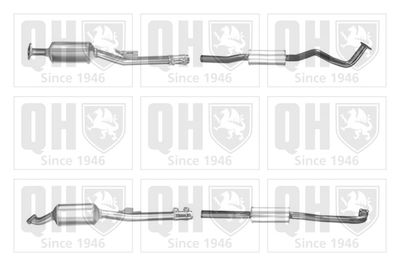 Filtr sadzy / filtr cząstek stałych, układ wydechowy QUINTON HAZELL QDPF11176H