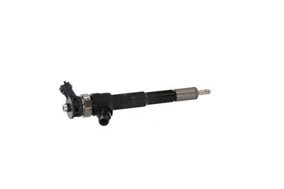 INJECTOR REMANTE 002003001494R 41