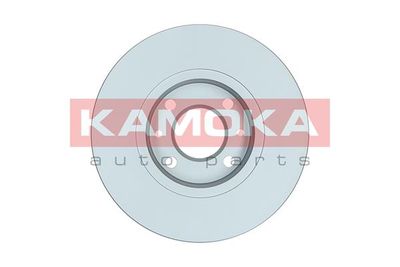 Brake Disc 103111