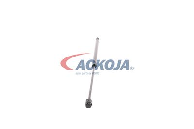 AMORTIZOR PORTBAGAJ ACKOJA A370062 25