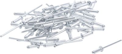 SORTIMENT BLINDNIET BGS 75847