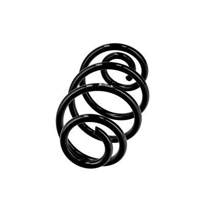 ARC SPIRAL EIBACH R10374 2