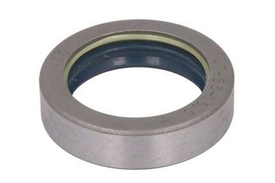 Achteras pruttelt (47x65x16,5mm)