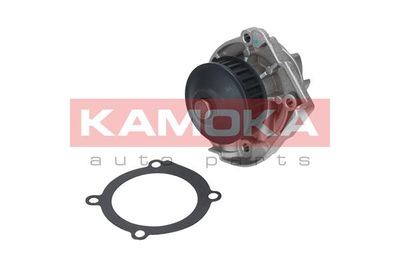 Water Pump, engine cooling T0118