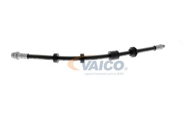 FURTUN FRANA VAICO V950481 24