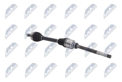 PLANETARA NTY NPWCT161 28