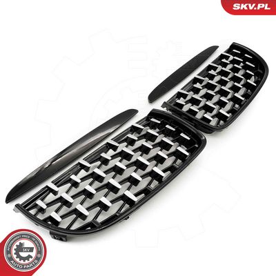 GRILA RADIATOR ESEN SKV 66SKV094 1
