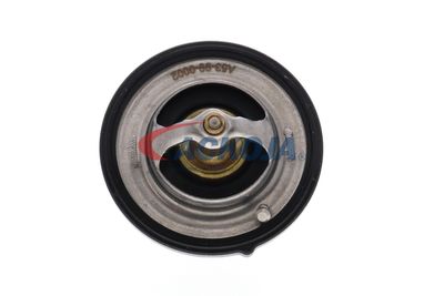 TERMOSTAT LICHID RACIRE ACKOJA A53990002 24