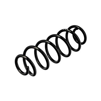 ARC SPIRAL EIBACH R10823 16