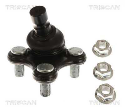 Шарнири TRISCAN 8500 18555