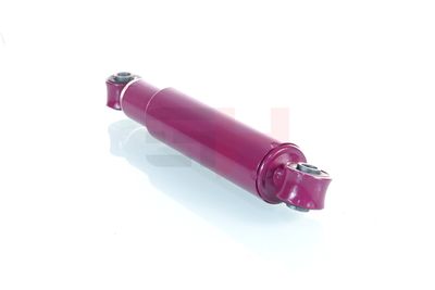 AMORTIZOR GH GH305015 24