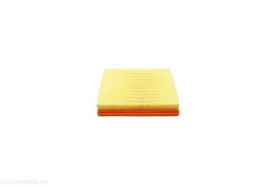 FILTRU AER AUTOMEGA 250053010 2