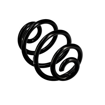 ARC SPIRAL EIBACH R10088 23