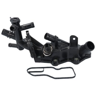 FLANSA LICHID RACIRE BIRTH 81097