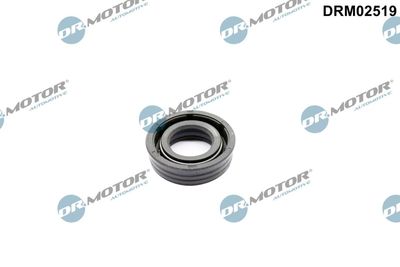 Uszczelka, przestawianie wałka rozrządu DR.MOTOR AUTOMOTIVE DRM02519