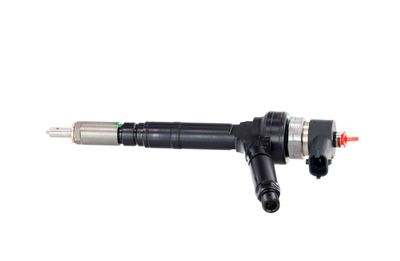 INJECTOR REMANTE 002003001094R 14