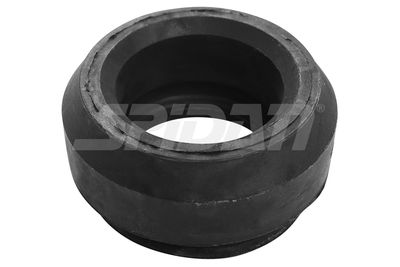 FEDERBEINSTüTZLAGER