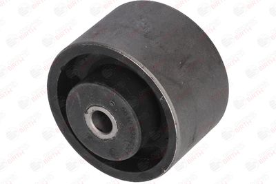 SUPORT MOTOR BIRTH 5610 2