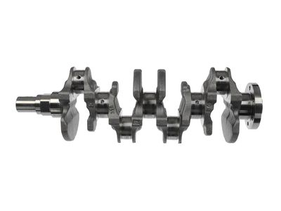 ARBORE COTIT ET ENGINETEAM HK0237 17