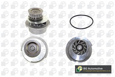 POMPă DE APă RăCIRE MOTOR