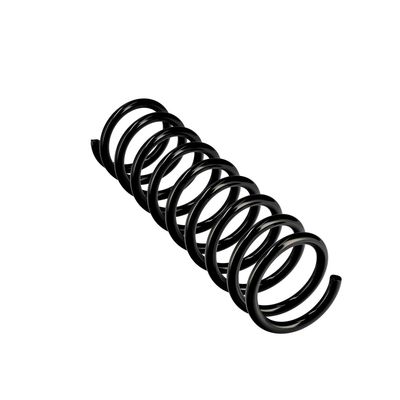 ARC SPIRAL EIBACH R10625 23