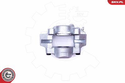 Brake Caliper 45SKV861