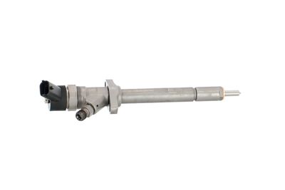 INJECTOR REMANTE 002003002117R 41