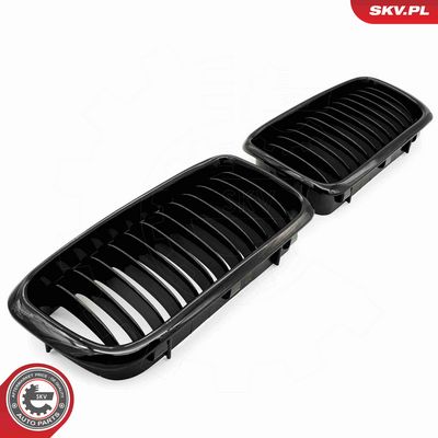 GRILA RADIATOR ESEN SKV 66SKV212 2