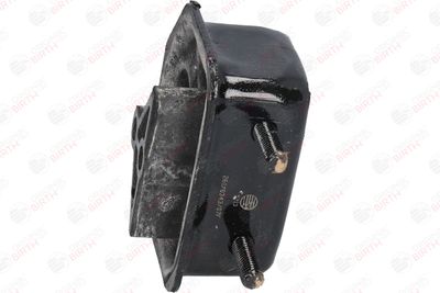 SUPORT MOTOR BIRTH 5213 10