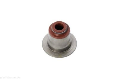 ETANSARE SUPAPE AUTOMEGA 190011310 1