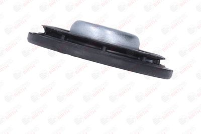 SAIBA ARC BIRTH 56186 8