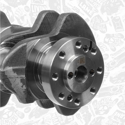 ARBORE COTIT ET ENGINETEAM HK0205 3