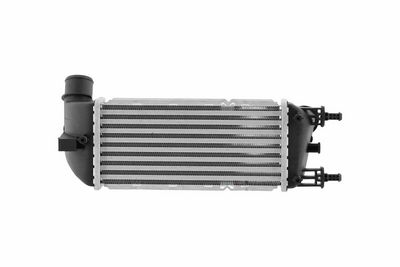 INTERCOOLER COMPRESOR HELLA 8ML366471001 2