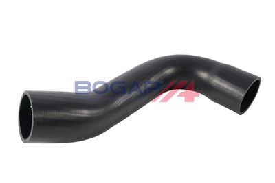 FURTUN EAR SUPRAALIMENTARE BOGAP P1711142 1