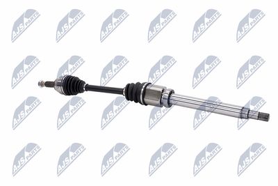 PLANETARA NTY NPWFR054 28