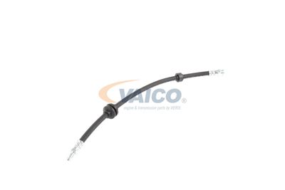 FURTUN FRANA VAICO V240328 44