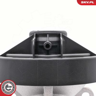 SUPAPA EGR ESEN SKV 14SKV298 7