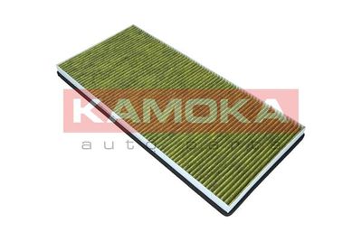 Filter, cabin air 6080058