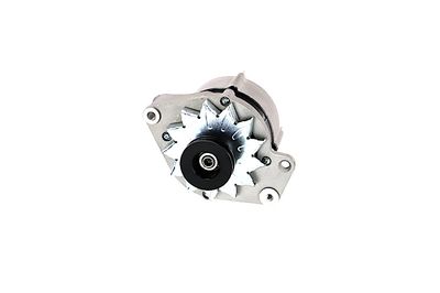 GENERATOR / ALTERNATOR REMANTE 011003000469R 60