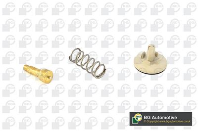 TERMOSTAT LICHID RACIRE