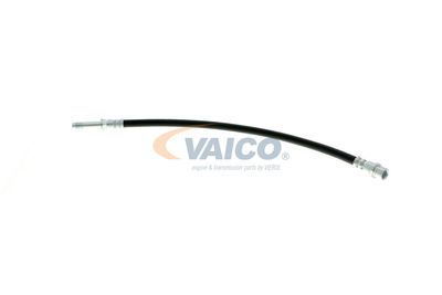 FURTUN FRANA VAICO V309931 14