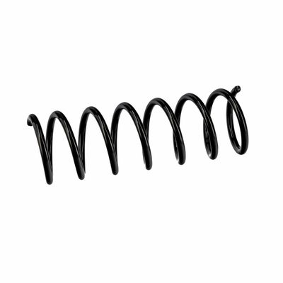 ARC SPIRAL EIBACH R10838 6