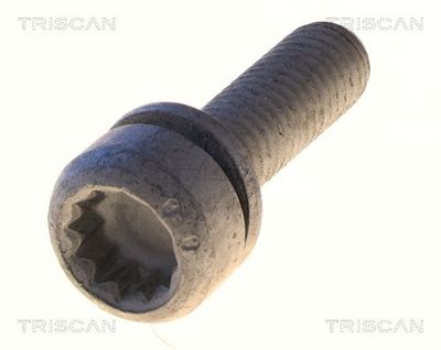 Boulon de fixation, bras transversal TRISCAN