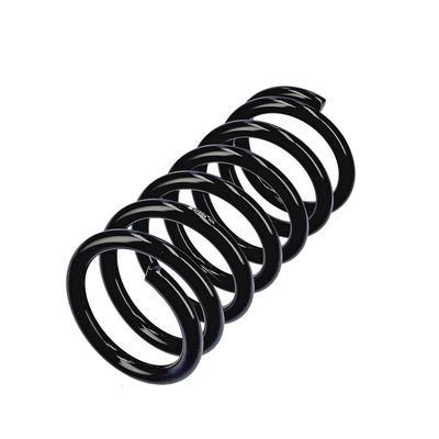 ARC SPIRAL EIBACH R13306 3