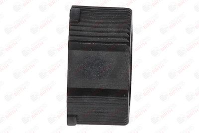 BUCSA ARBORE DE DIRECTIE BIRTH 4340 10