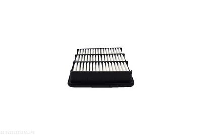 FILTRU AER AUTOMEGA 250052910 2