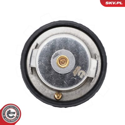Termometar, rashladno sredstvo ESEN SKV 20SKV238
